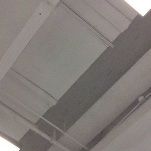 Meet your Posher, Albert